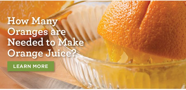 How Many Oranges are Needed to Make Orange Juice?