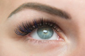 60% Off Eyebrow and Eyelash Services at Eddie Caruso Salon