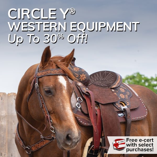 Circle Y® Headstalls and Breast Collars