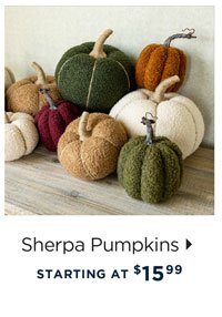 Sherpa Pumpkins