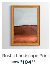 Rusted Landscape Framed Art Print