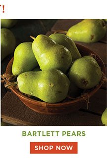 Bartelett Pears