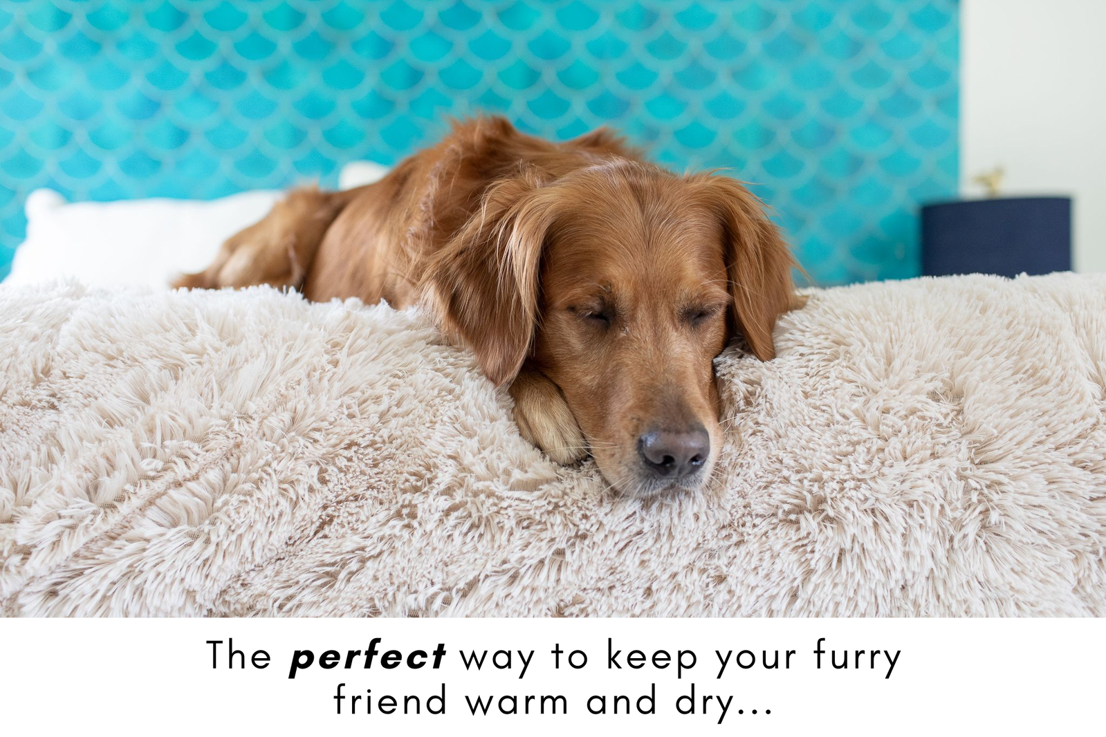 PawProof™ Throw Blanket