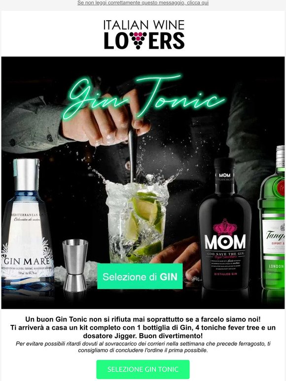 ItalianWineLovers: 🍸GIN TONIC Home Made! Kit per preparare un Gin Tonic