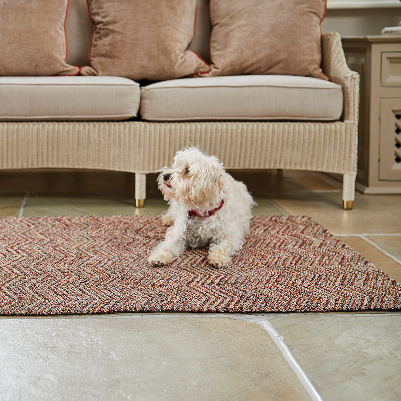 brand alley Stuart Weitzman, Celeste Starre, Tom Dixon, Tom Ford, Miller Harris, Luxury 1000 TC