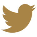 Twitter logo made up of a a flying bird with its beak open.