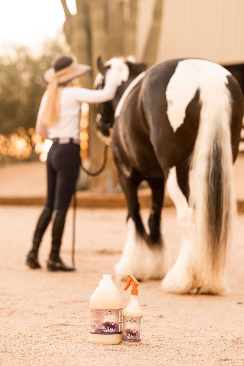 Girl with gypsy vanner horse and equiderma products