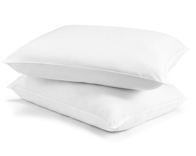 Healthy Home® HeiQ Proguard Down Alternative Pillow - 2 Pack