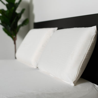 Protect-A-Bed® Surefit Cotton Cover Latex Pillow, Standard