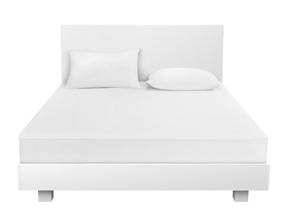 Healthy Home® HeiQ Proguard Mattress Protector