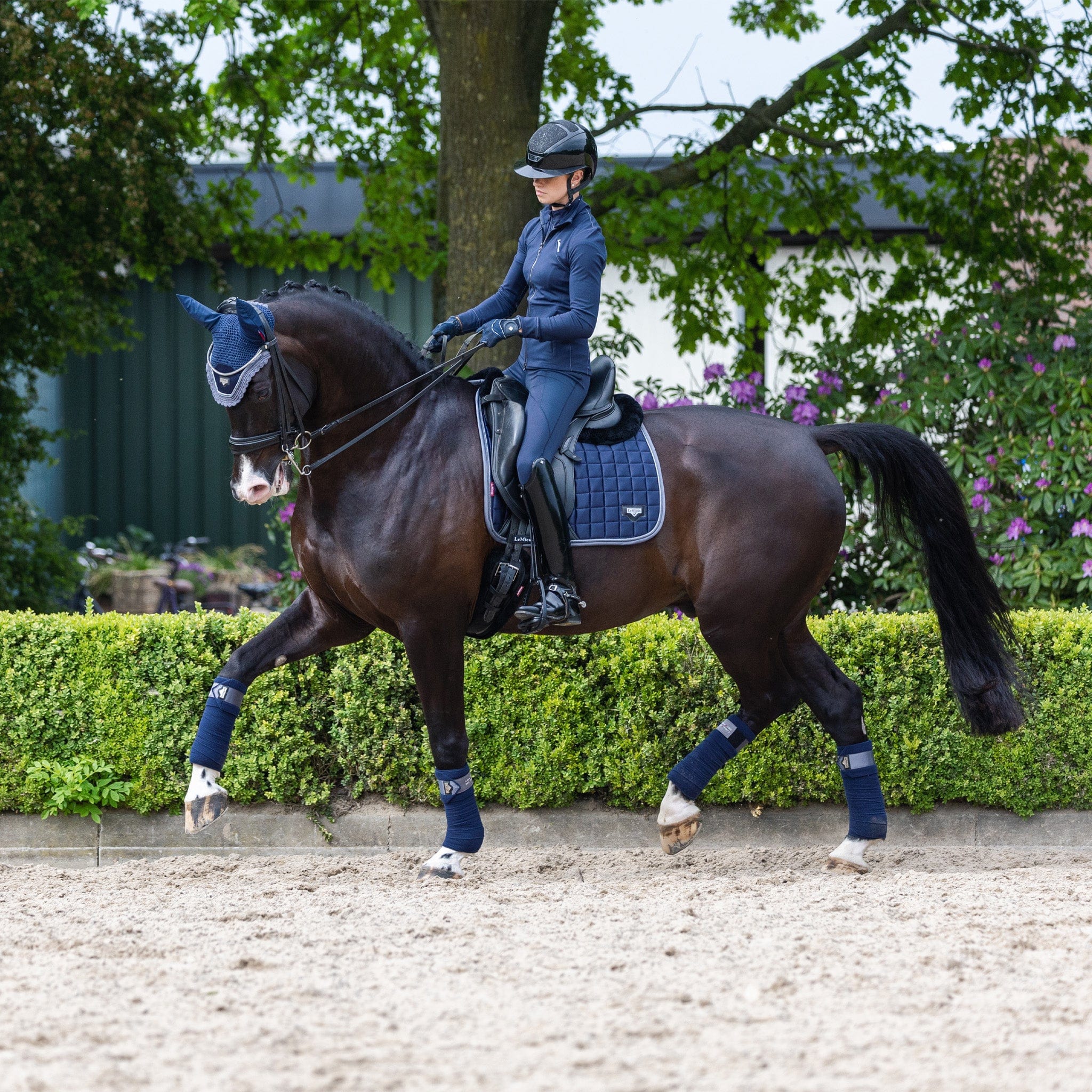 Equus New Lemieux Twilight Collection Plus 0 Bonus Points On All Clearance Items Milled