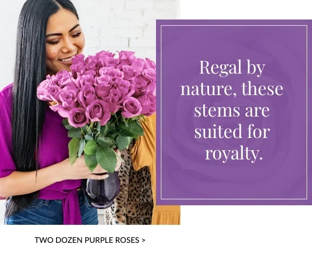 Two Dozen Purple Roses