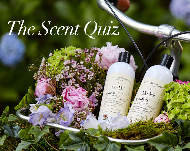 The Laundress A Quiz To Lead You To Your Best Scent Milled