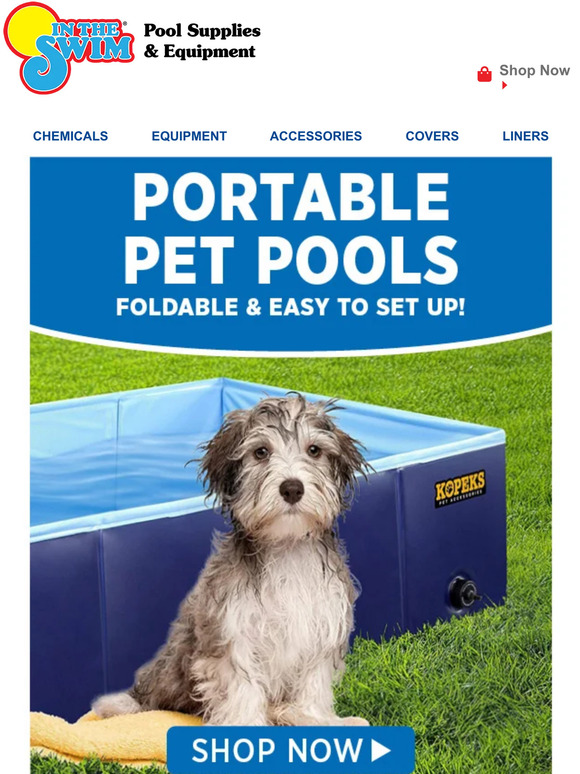 In The Swim Pool Supplies 🐶 Pool FUN for Fido! Milled