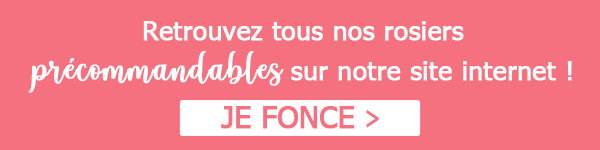 ROSIERS PRECOMMANDABLES
