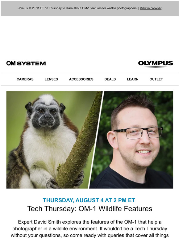 Olympus LIVE in 1 Hour OM1 Wildlife Features Milled