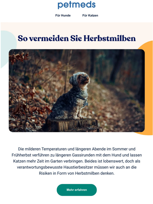 Wissenswertes über Herbstmilben