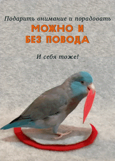 Подарки без повода