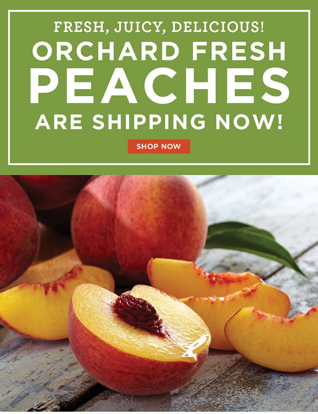 Orchard Fresh Peaches Available Now!