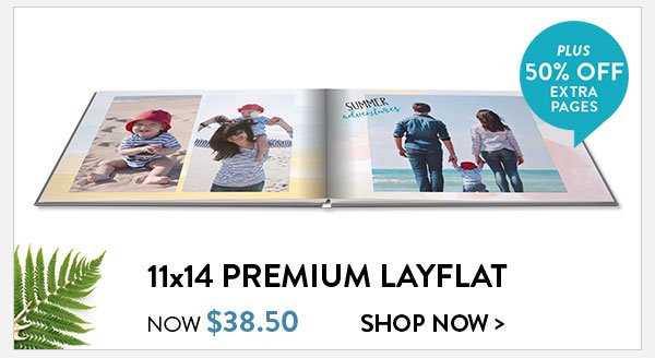 Shop 11 by 14 premium layflat hardcover books, now only 38 dollars and 50 cents.  Plus, get an extra 50 percent off extra pages