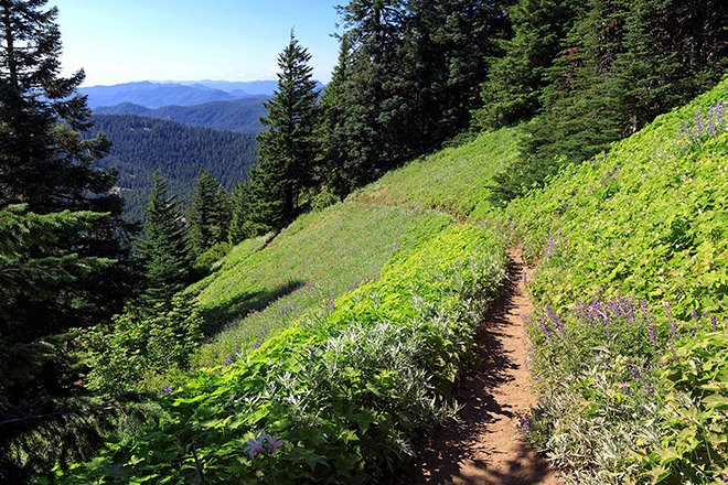 Explore Oregon Pacific Crest Trail Backpacking for 2