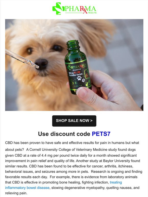 CBD Tinctures for Pets: Only $7!