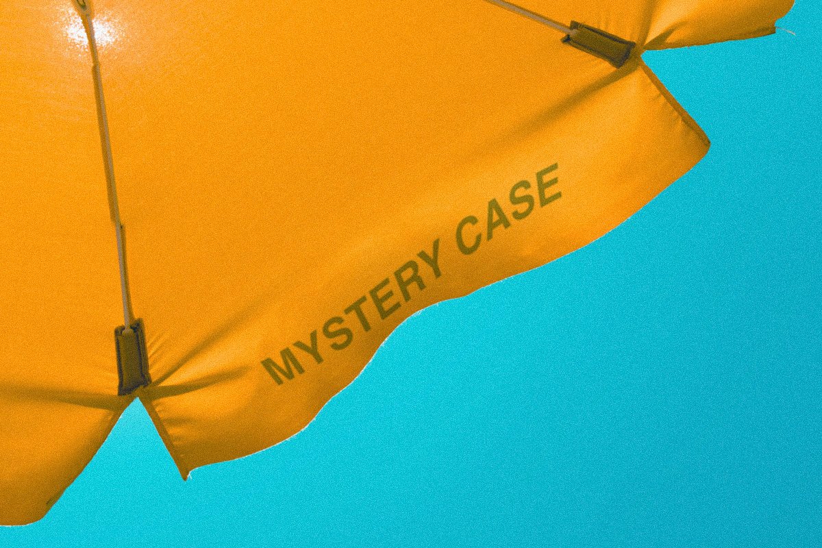 Summer Mystery Case