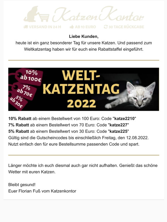Wir feiern den Weltkatzentag