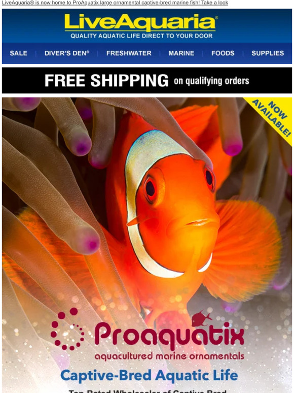 Have you heard? There’s a new brand in town Milled