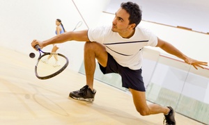 Squash oder Badminton Squash oder Badminton
