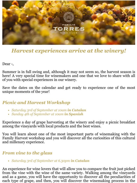 🍇The Familia Torres harvest experiences are back!