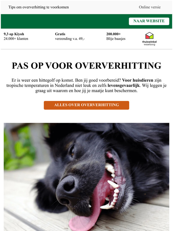 🔆 Pas goed op je maatje, hittegolf op komst!