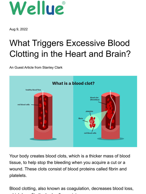 Viatom Technology Co., Ltd. 👀What Triggers Excessive Blood Clotting in