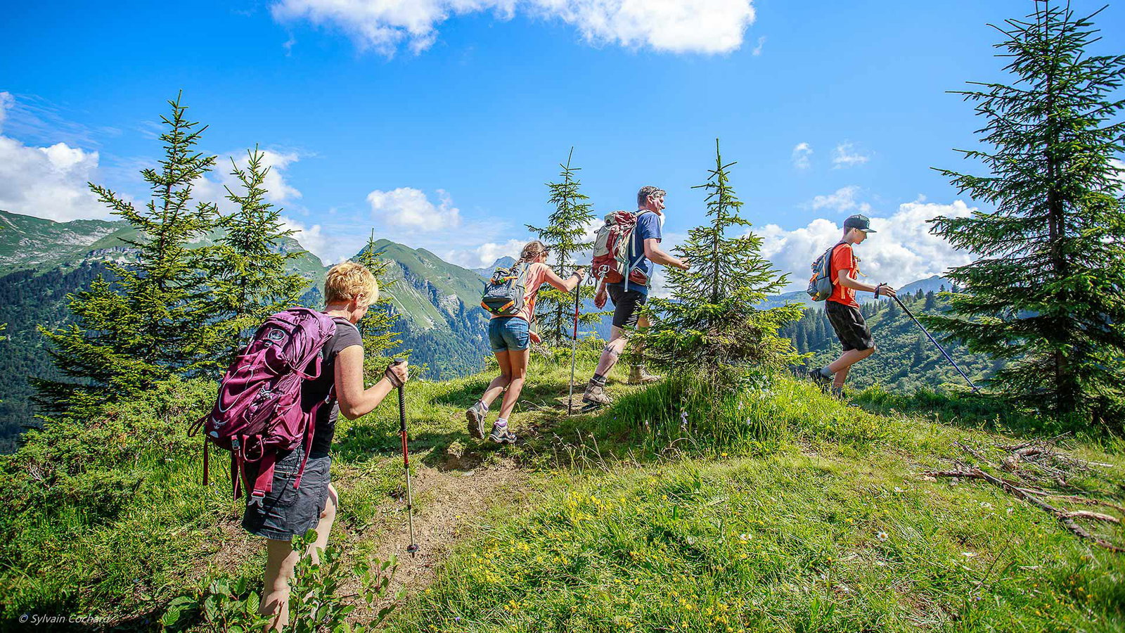 Walking & Hiking