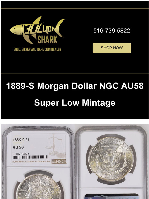 Is this LOW mintage Morgan Dollar undervalued?
