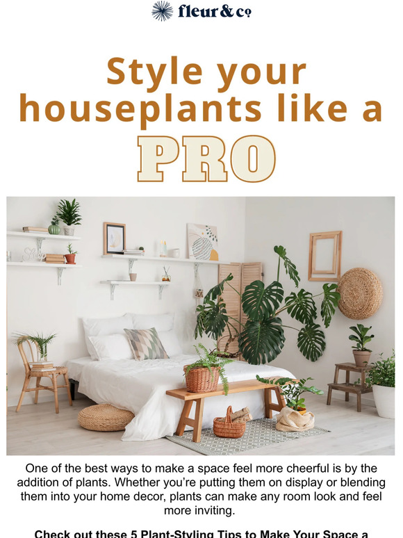 Style your houseplants like a PRO! 😎