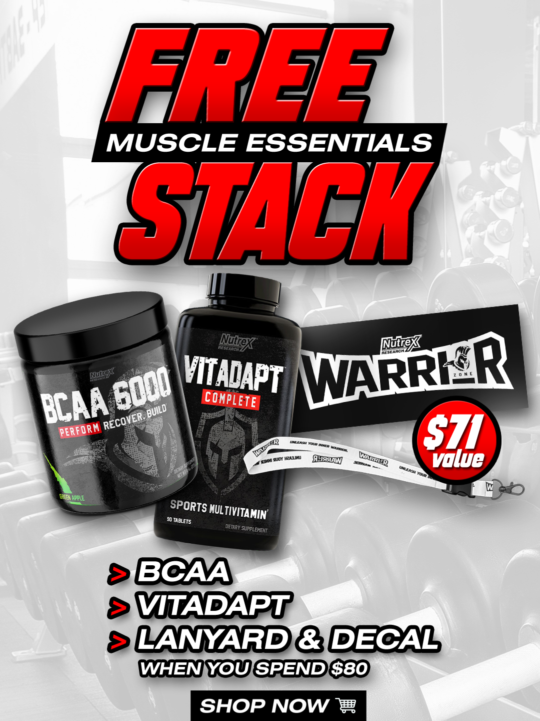 Free Muscle Essential Stack