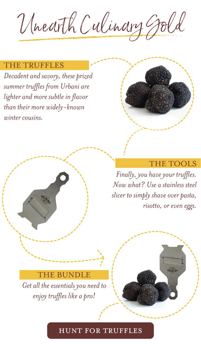 Eataly NA They're back! Fresh summer truffles are here. Milled