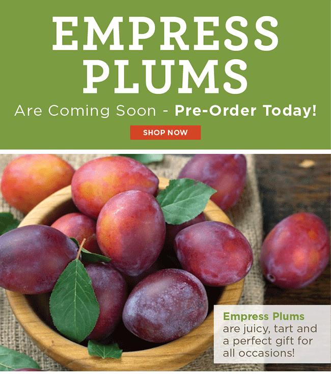 Empress Plums Pre-Order Now