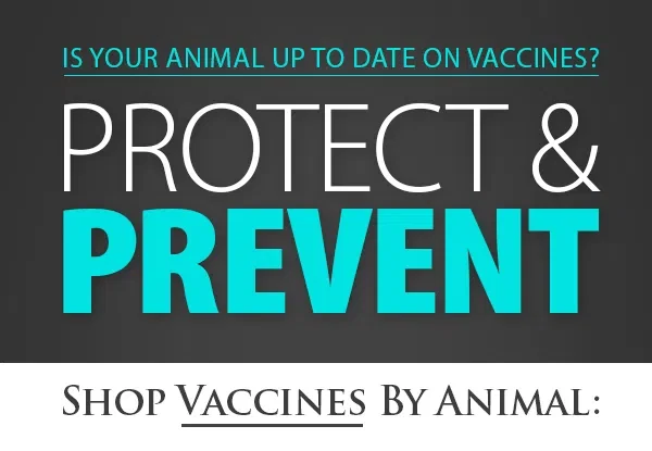 Vaccines