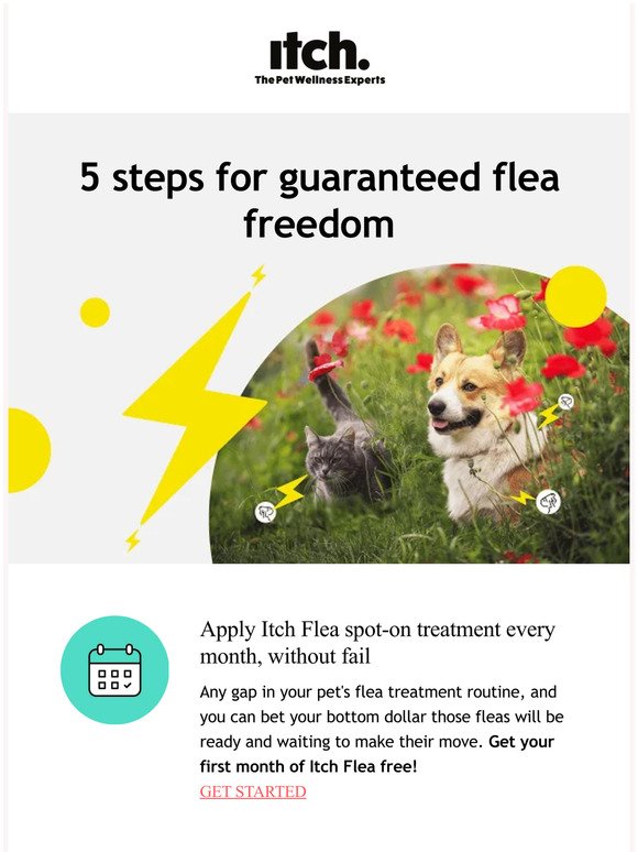 FREE flea treatment to protect you and Your Pet
