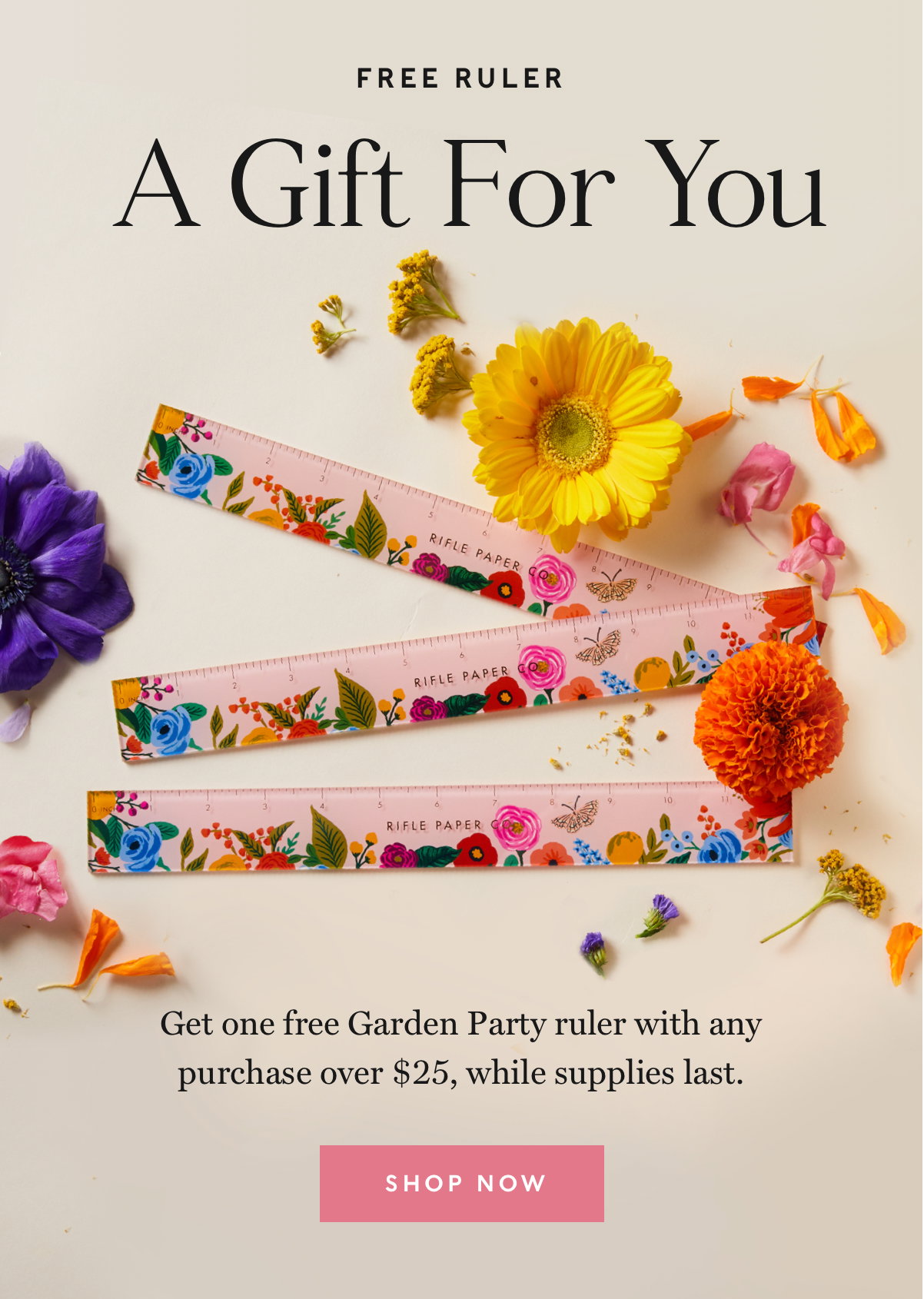 Free ruler. A gift for you. Shop now