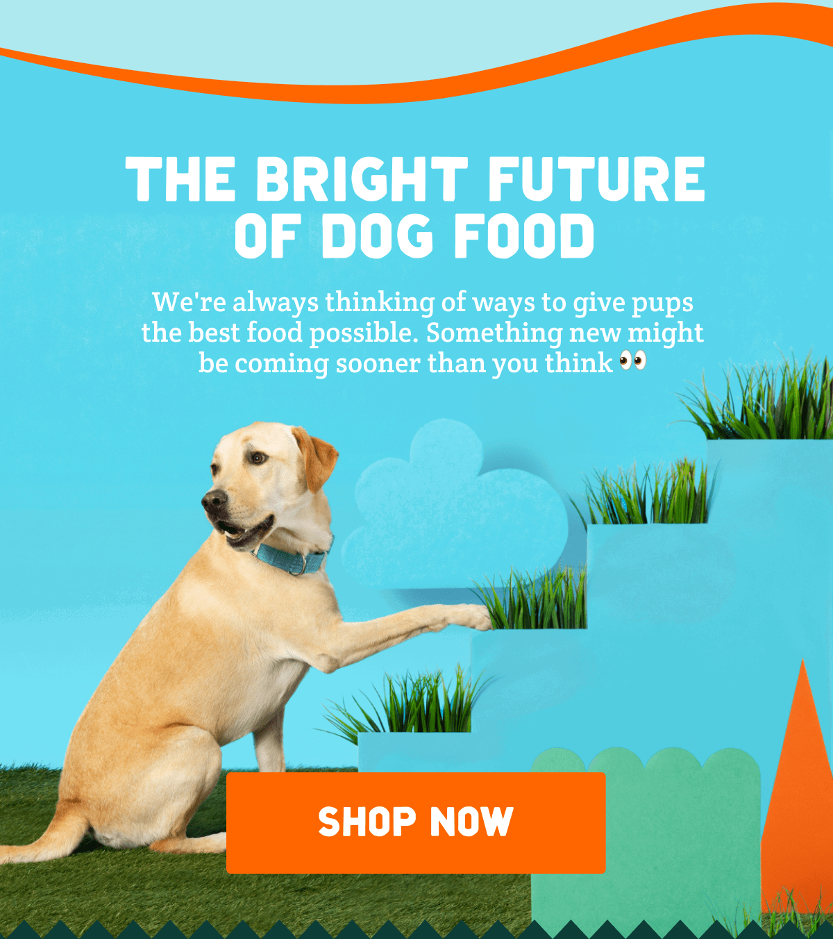 the bright future of dog food. shop now