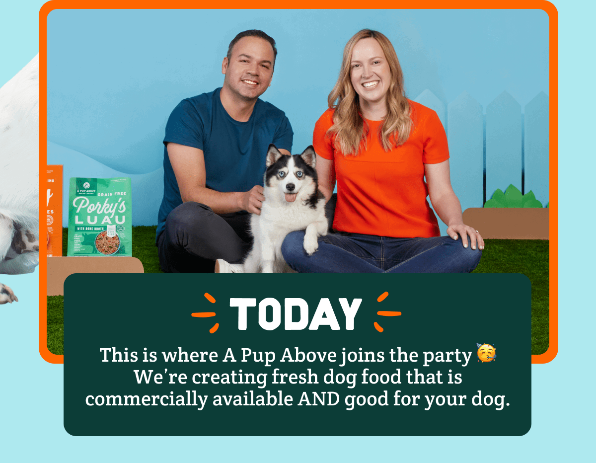 today! this is where a pup above joins the party.