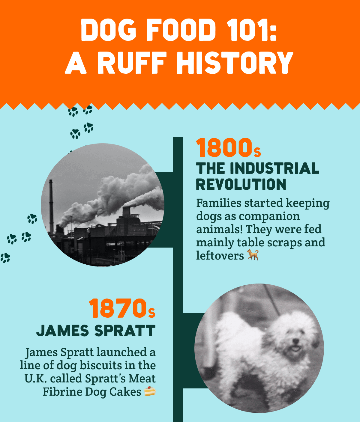 dog food 101: a ruff history