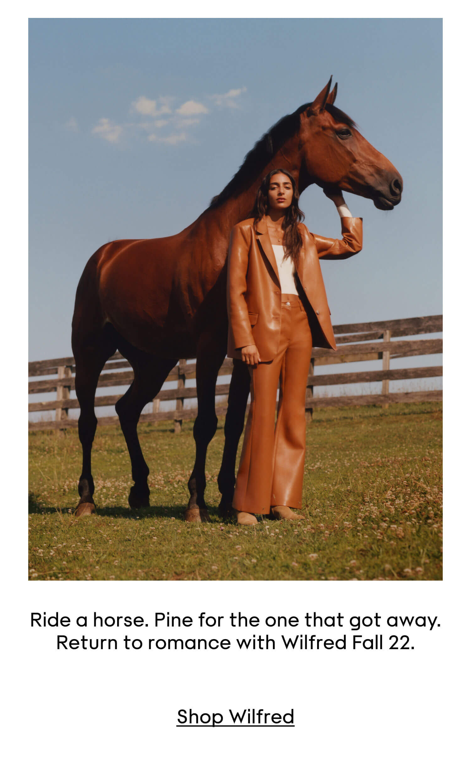SHOP WILFRED