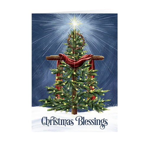 Blessings Across America Christmas Card, Set of 20...Shop Here