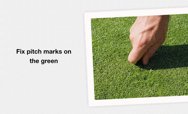  ✔️Fix pitch marks on the green 
