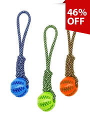 Dog Pull Toy with Chew Ball