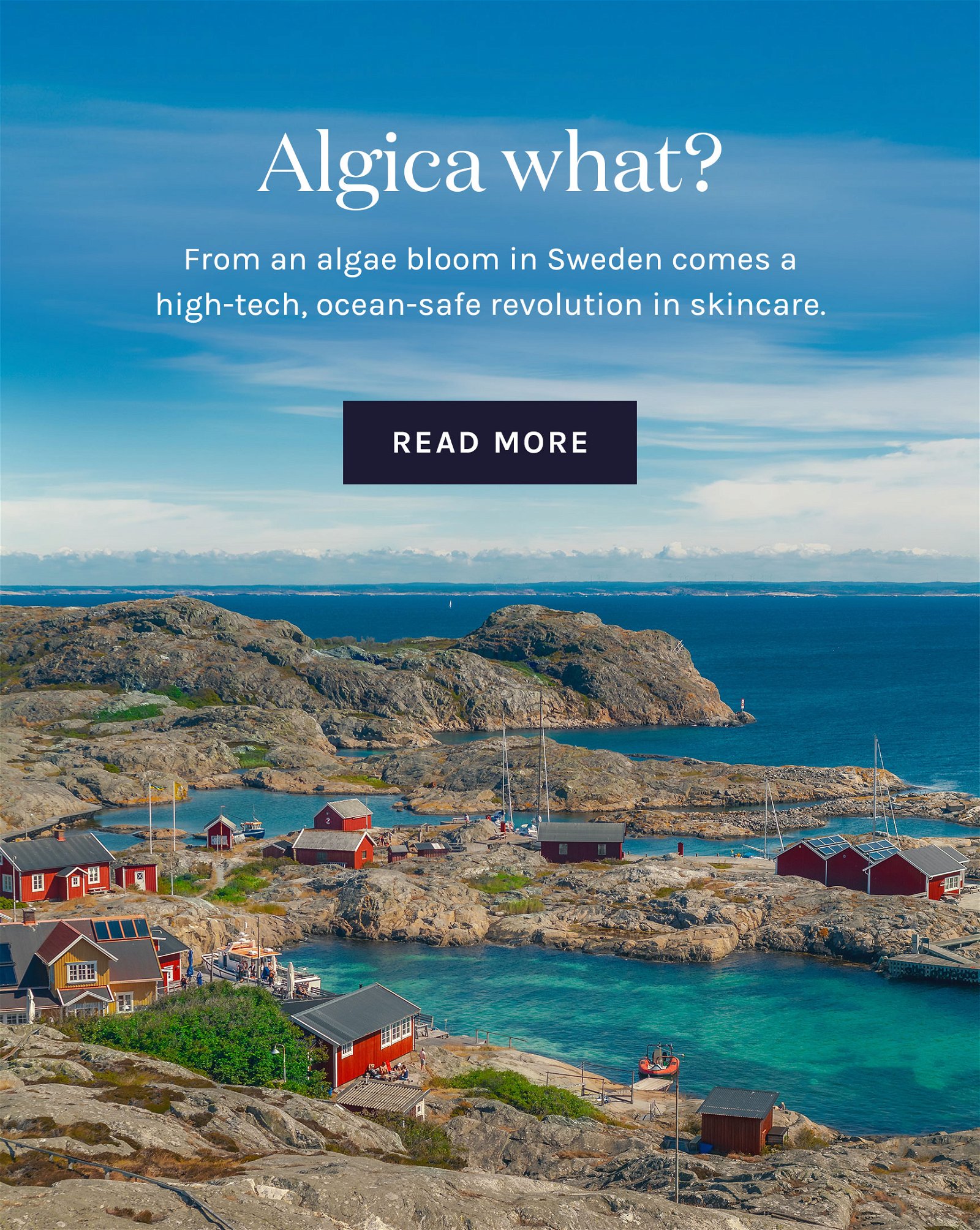 algica what? From an algae bloom in sweden comes a high-tech, ocean safe revolution in skincare.